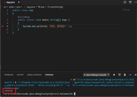 Image result for Java Code in Chinese