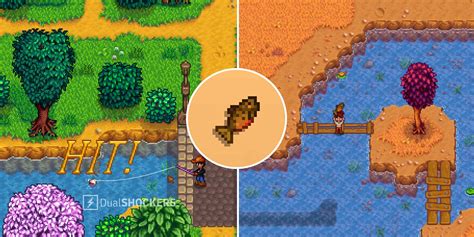 Stardew Valley: How To Catch A Tiger Trout