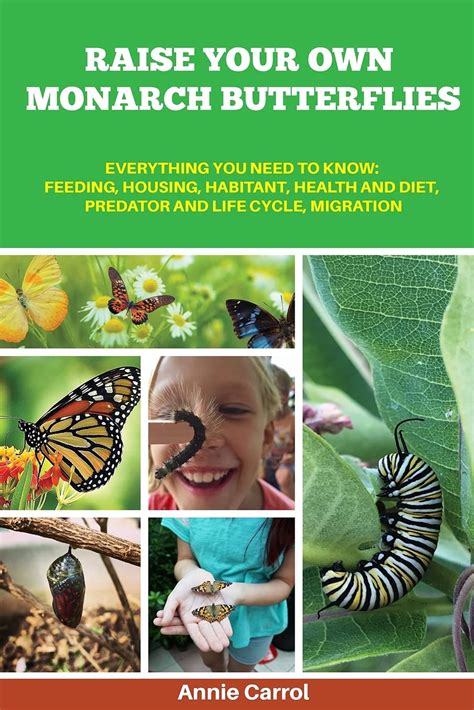 Buy Raise Your Own Monarch Butterflies: Everything You Need to Know ...