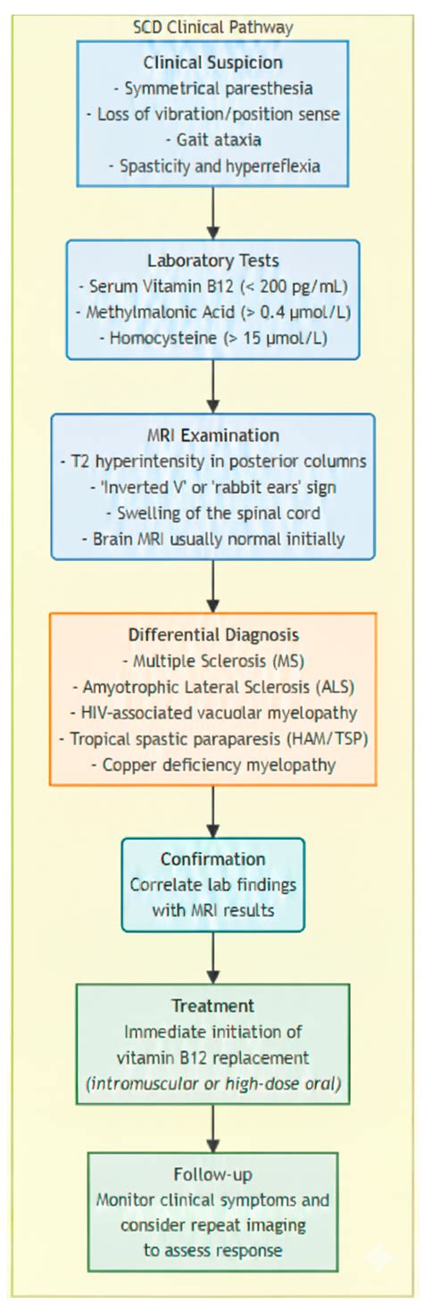 Combined Subacute Degeneration
