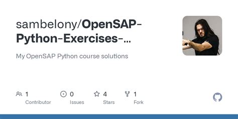 Open SAP through Python 的图像结果