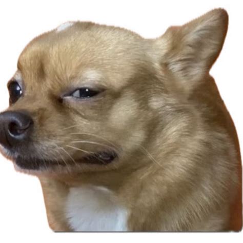 Image result for Peanuts Official Channel