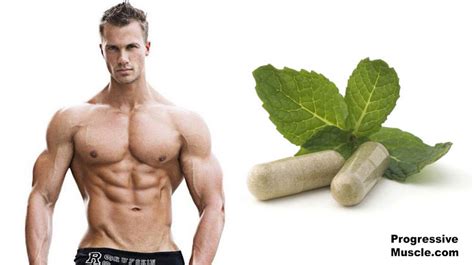How Do Natural Testosterone Boosters Work? - ProgressiveMuscle.com