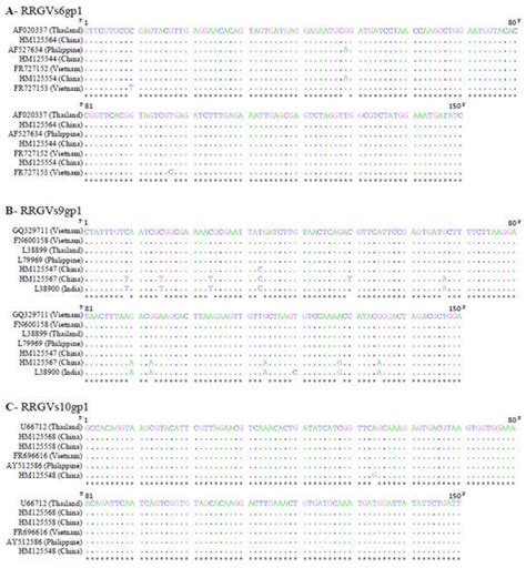 Optimized RNA-Silencing Strategies for Rice Ragged Stunt Virus ...
