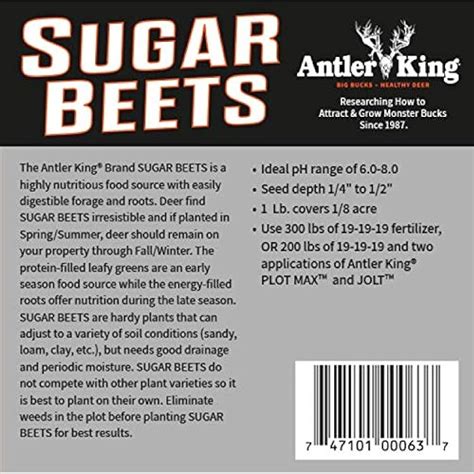 Antler King Sugar Beets Food Plot Seed | 1 lb Bag of | Ubuy India