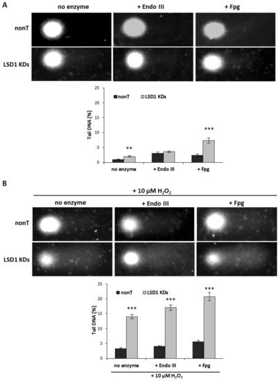 Silencing Lysine-Specific Histone Demethylase 1 (LSD1) Causes Increased ...