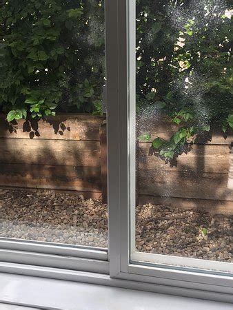 ZEN LOFTS CALGARY (Alberta) - Lodging Reviews & Photos - Tripadvisor