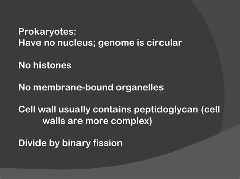 Bacteria cell structure and function | PPT