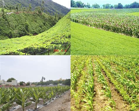 Major Areas :: Dryland Agriculture