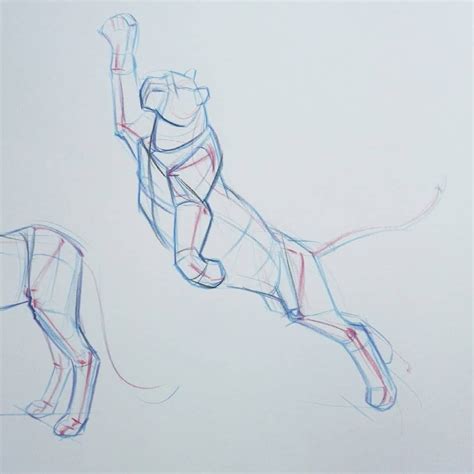 Image result for Cat Drawing Tutorial