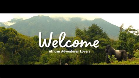 Join Our Upcoming Gorillas Trekking in Volcanoes- Rwanda., Bgm.-Hartl ...