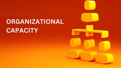 Image result for Professional Capacity Examples