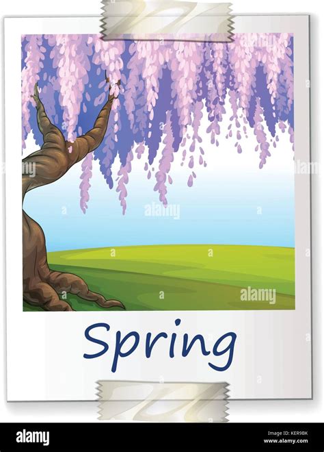 Image result for Spring Illustration