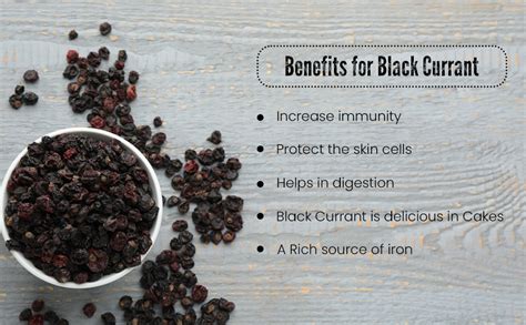 RGT Organics Dried Black Currant | Dried Greece Black Currents 200Gm ...