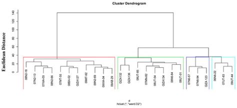 Phenotypic and Physiological Evaluation of Two and Six Rows Barley ...