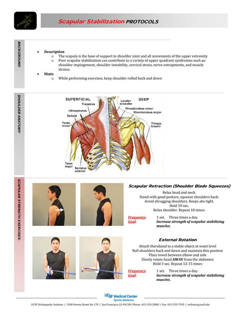 Why Is Scapular Stabilization Important at Rodney Swisher blog