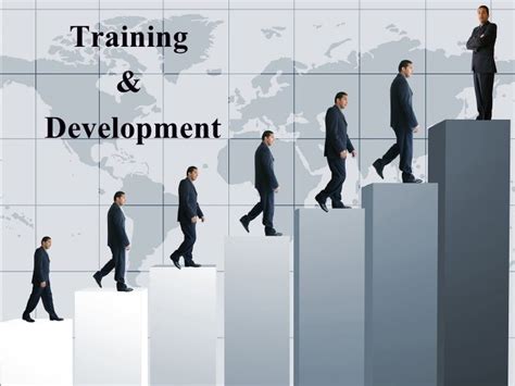 Training and Development 的图像结果