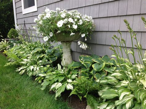 23 Hosta Shade Garden Design Plans Ideas You Must Look | SharonSable