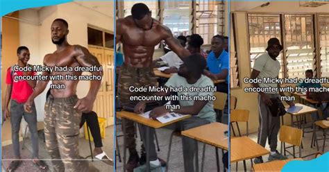 Image result for Code Micky Java