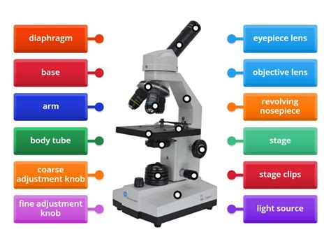 Microscope Labeled Parts 的图像结果