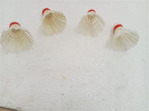 ShuttleCock 的图像结果