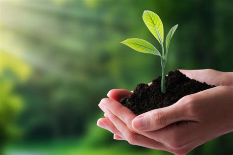 SSE-Social Impact Assessment - Concept