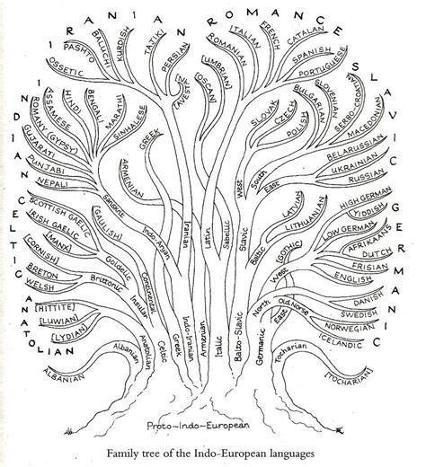 English Language Tree 的图像结果