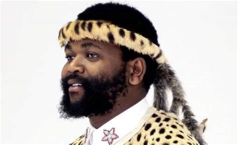 Image result for Sjava Wamuhle