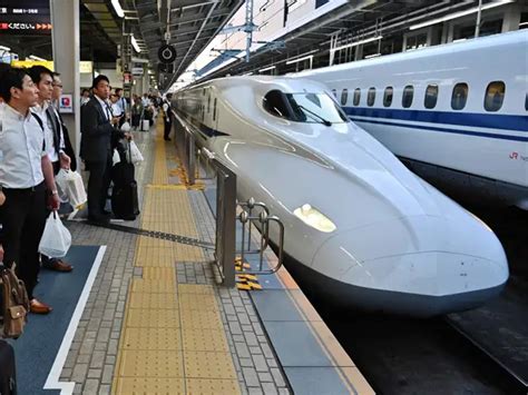 How this tiny slug stopped dozens of trains, delayed 12,000 people in ...