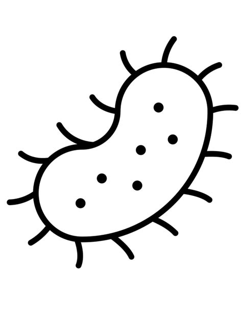 Image result for Bacteria Simple Drawing