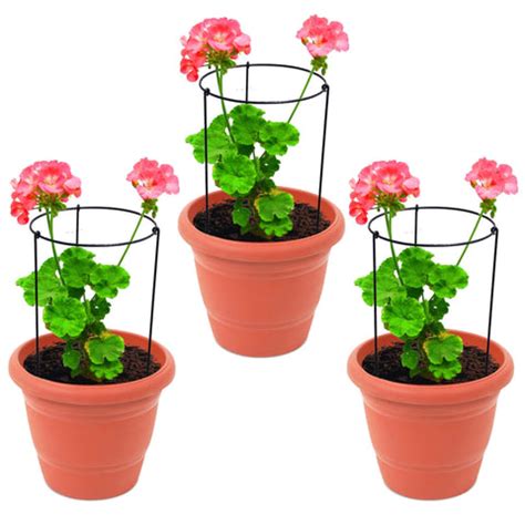 TrustBasket Obelisk trellis for Plant Support - Set of 3