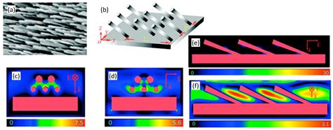 Surface Enhanced Raman Scattering Substrates Made by Oblique Angle ...