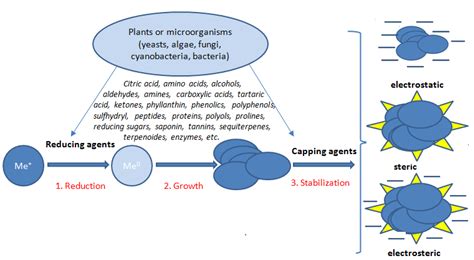 Antioxidants: Classification, Natural Sources, Activity/Capacity ...