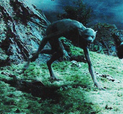 Harry Potter Fanfic Werewolf at Noah Stretch blog