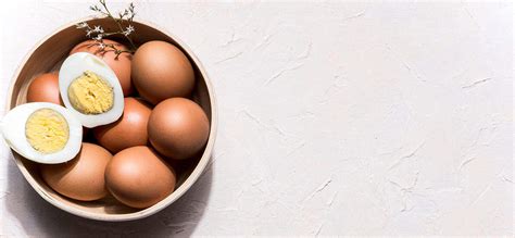 8 reasons why you shouldn't shy away from adding eggs to your daily ...