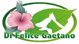 ~ Di Felice Gaetano Vetralla Moreno e Rosella   Prodotti  