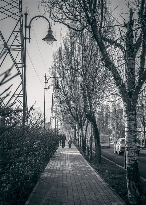 Environment Black and White 的图像结果