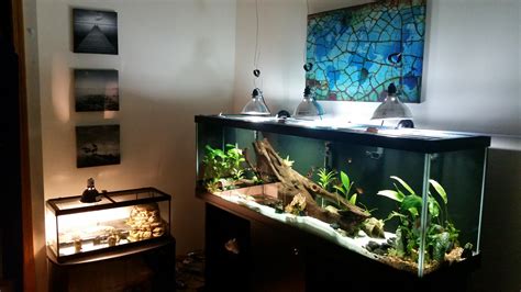 Long Neck Turtle Tank Setup at Amanda Moretz blog