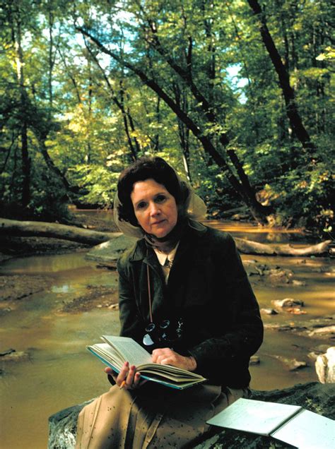 Rachel Carson’s Lessons, 50 Years After ‘Silent Spring’ - The New York ...