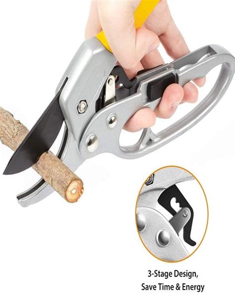 Buy Garden Tool Pruning Shears Online Starting @ 699 /- | BigHaat