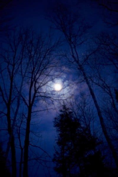 Natural Light Sources 的图像结果