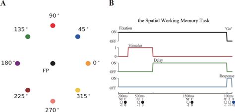 Image result for Visual Spatial Working Memory