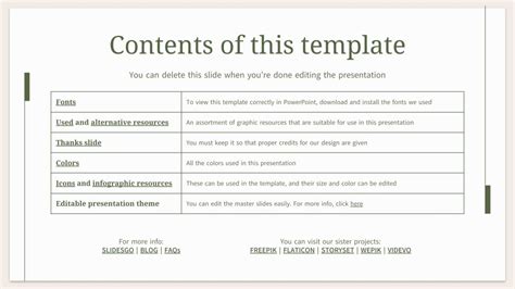 Marketing Plan Summary Example 的图像结果