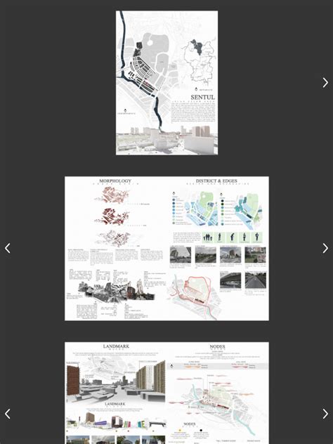 Site Analysis Examples 的图像结果