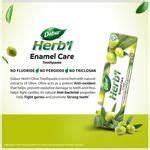 Buy Dabur Herbal Enamel Care Toothpaste - Olive, Longlasting Freshness ...