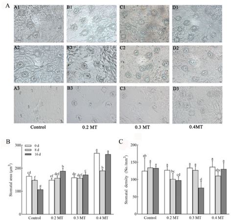 IJMS | Topical Collection : Photosynthesis in Plants and Algae ...