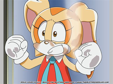 Vanilla The Rabbit Sonic X