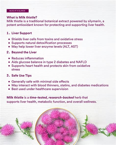 How Milk Thistle Supports Liver Detoxification and Overall Health ...