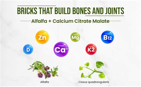 Vlado’s Himalayan Organics Alfalfa Calcium | Enriched With Vitamin D+k2 ...