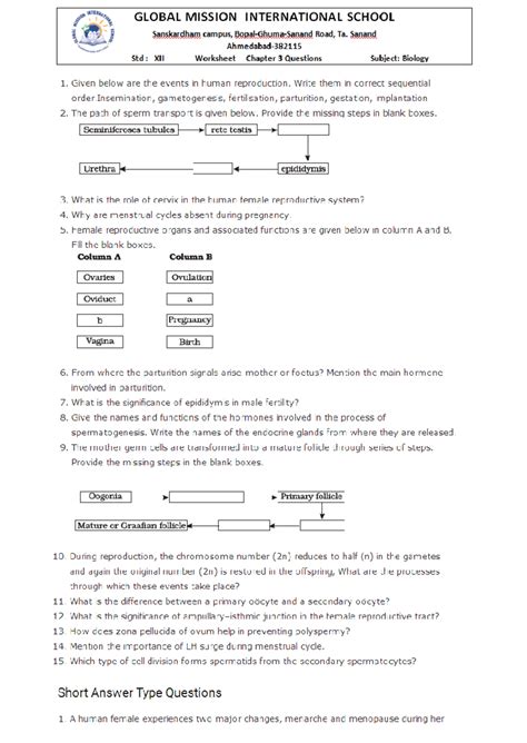 Human reproduction - GLOBAL MISSION INTERNATIONAL SCHOOL Sanskardham ...